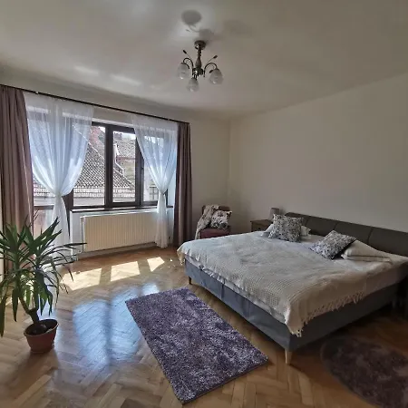 Guest house George Enescu